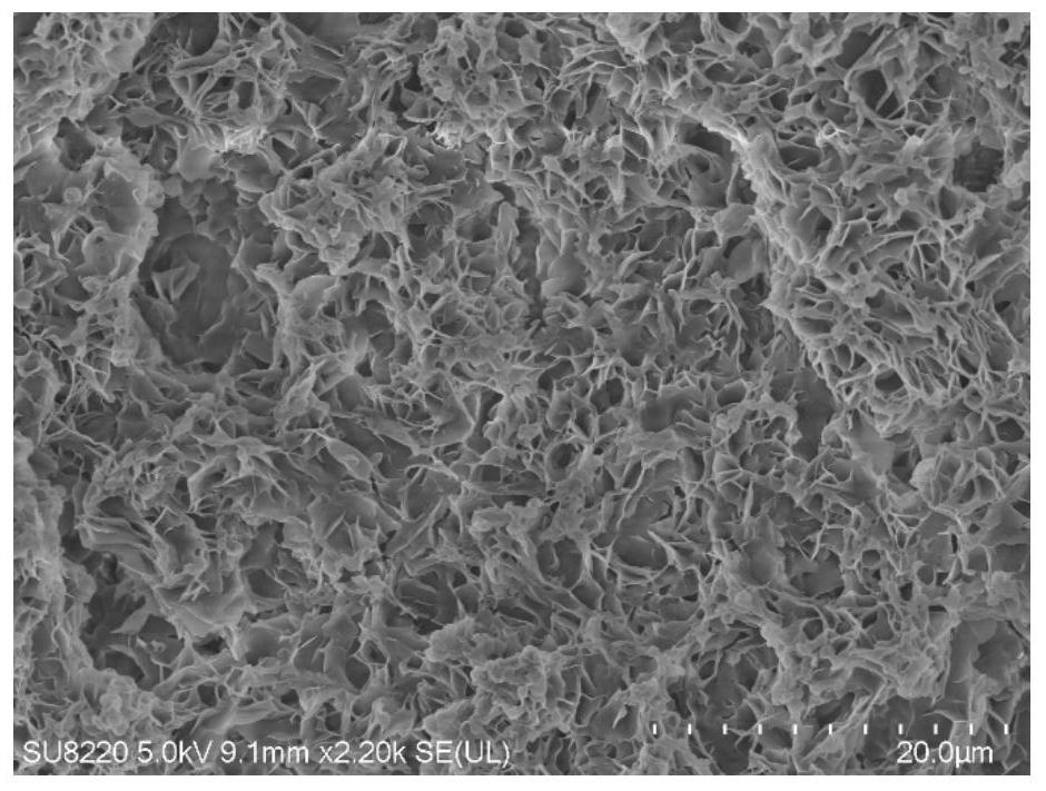 Multifunctional natural super-hydrophobic material and application thereof