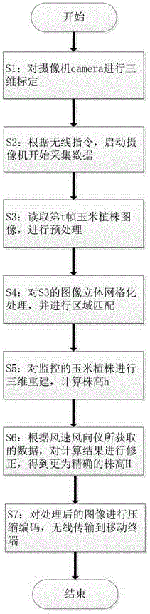 Method and device of monitoring height of corn plants in wild environment