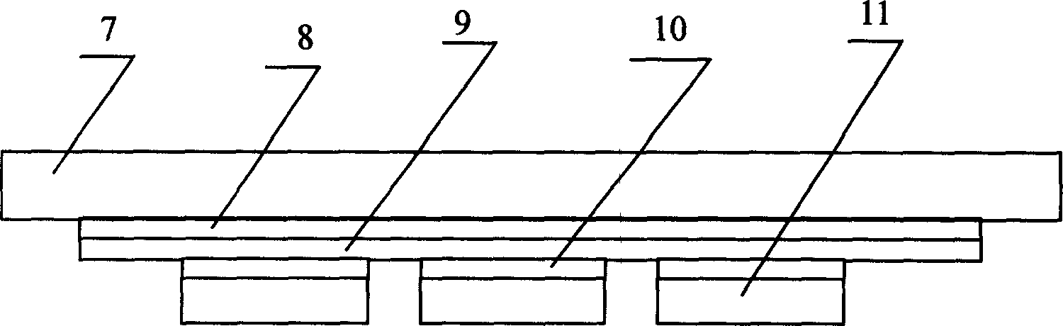 Field emission display made by single grid structure and silver pasting method