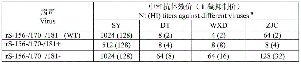 H5 subtype avian influenza vaccine candidate strain rs‑156‑/170+/181‑ and its construction method and application