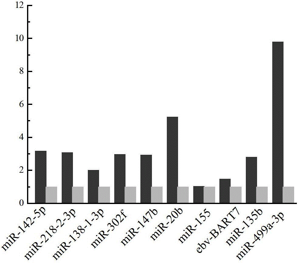 Atherosclerosis-related serum miRNA (microribonucleic acid) marker group, and specific primers and application thereof