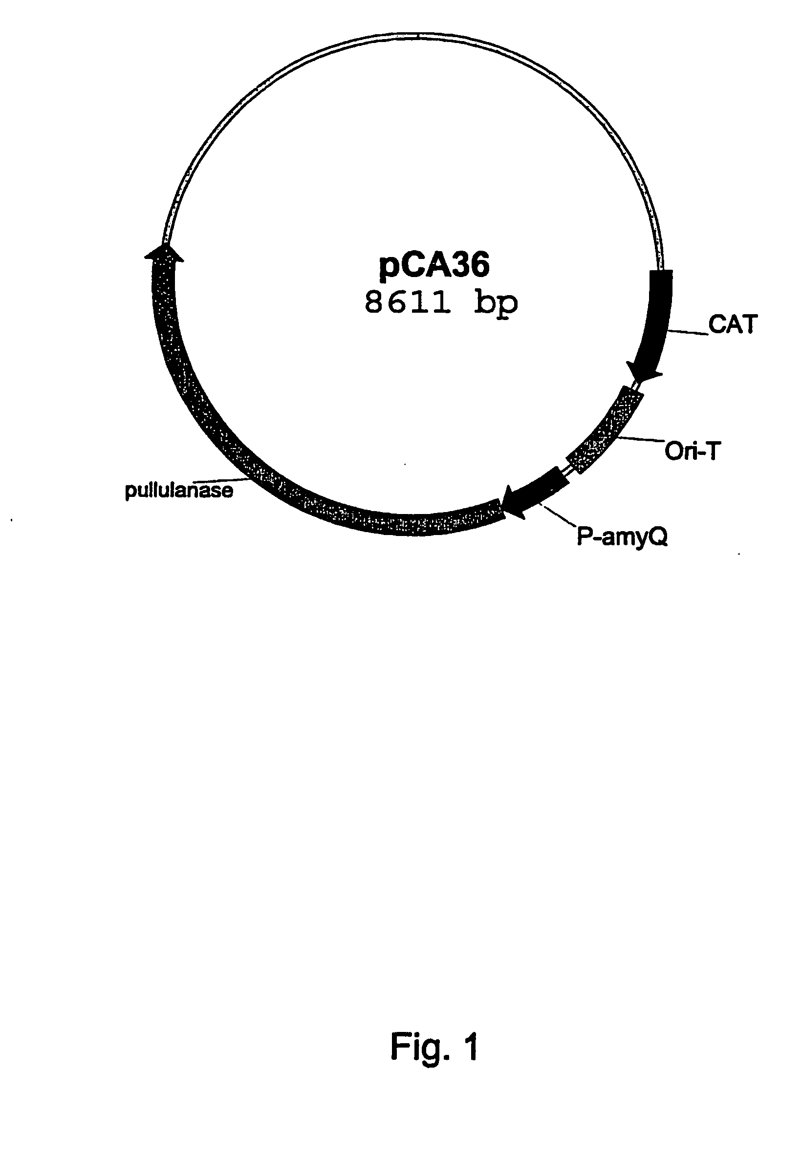 Pullulanase variants and methods for preparing such variants with predetermined properties