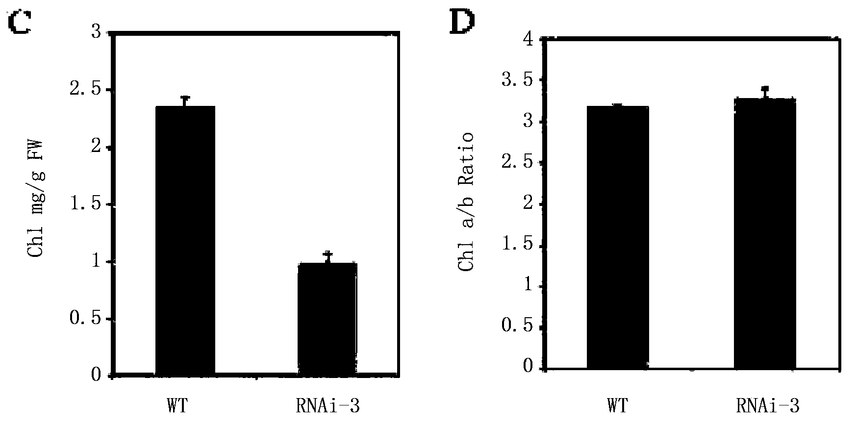 Rice stress tolerance and rice chlorophyll content related protein, coding gene and application thereof