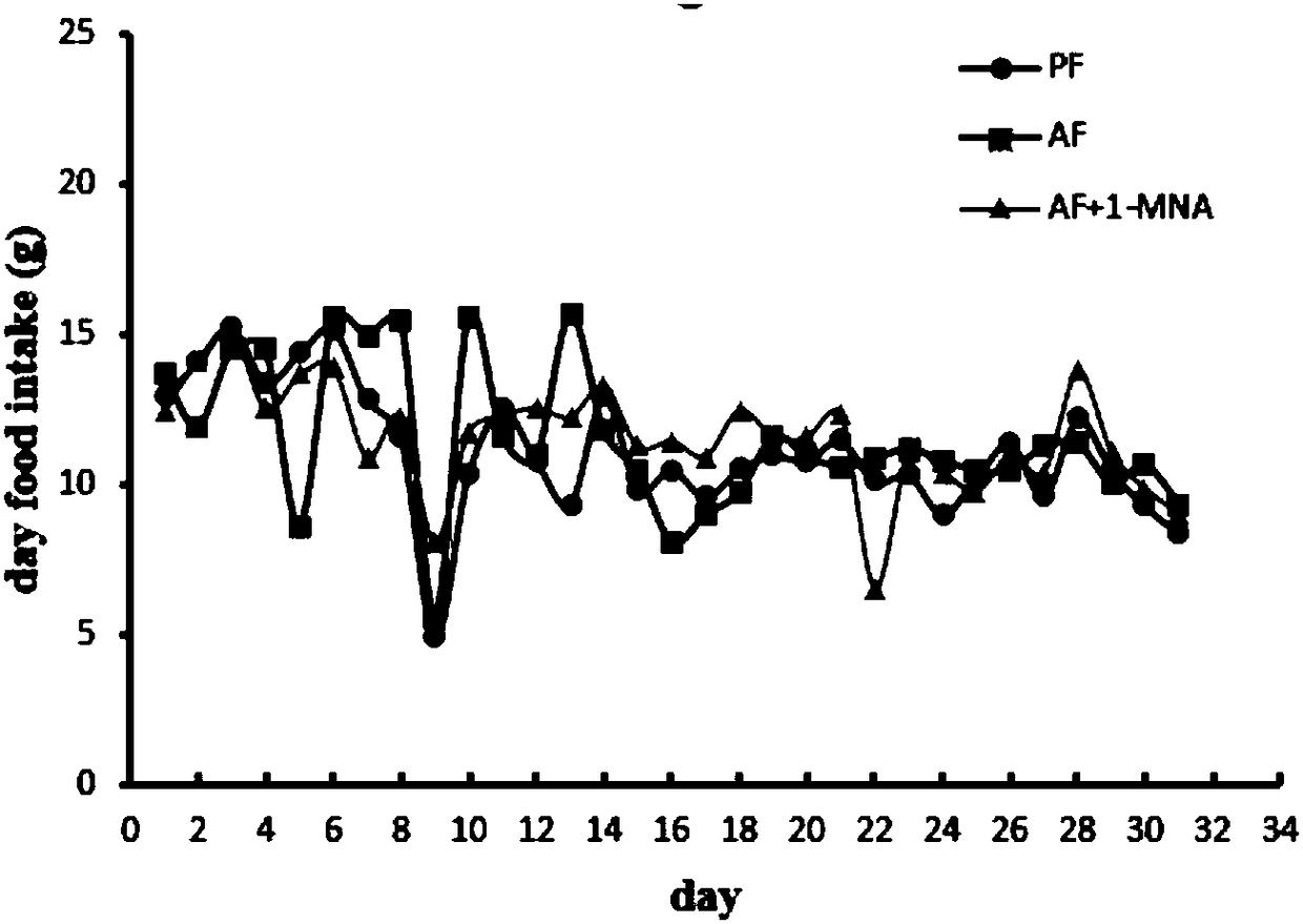 Application of 1-MNA (Methylnicotinamide) in preparing drug for preventing or treating alcoholic fatty liver