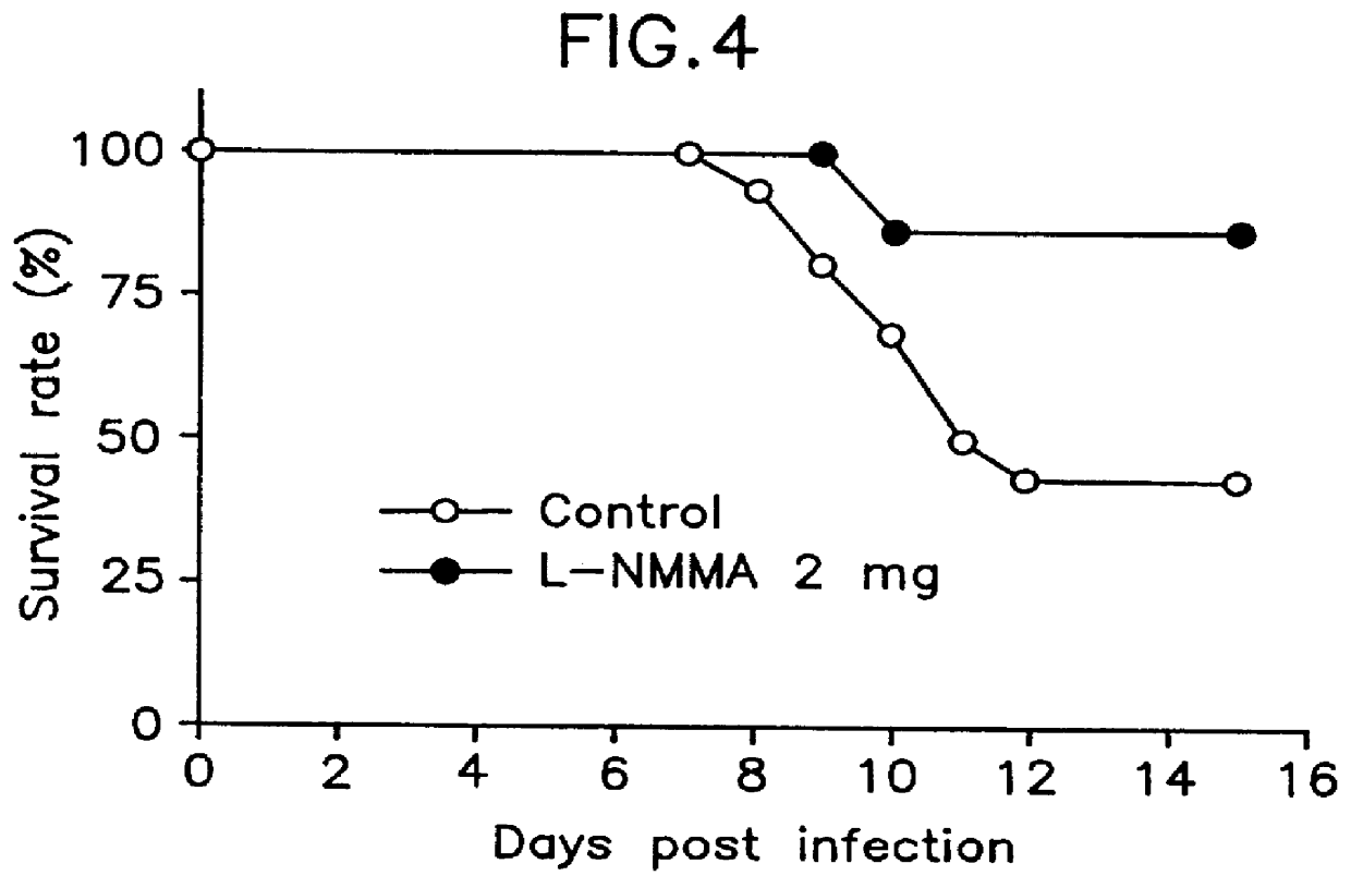 Agent for treatment of viral infections