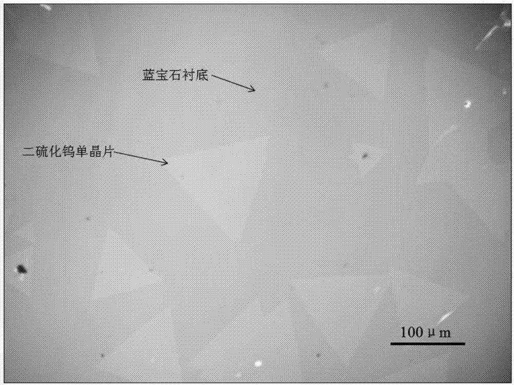 Device and method for preparing two-dimensional transmission metal dichalcogenide (TMDC) atom crystal material under normal pressure