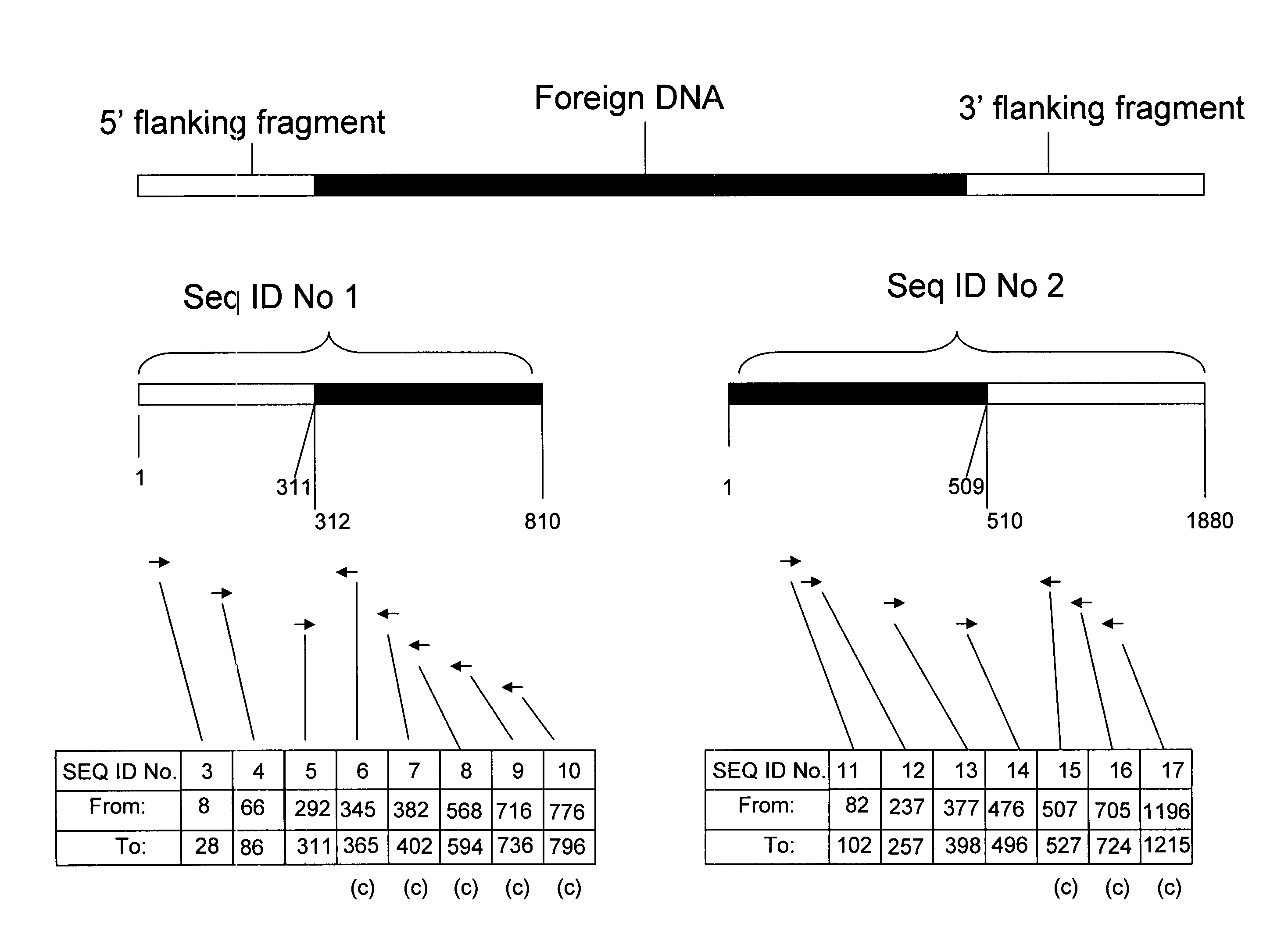 Elite event A5547-127 and methods and kits for identifying such event in biological samples