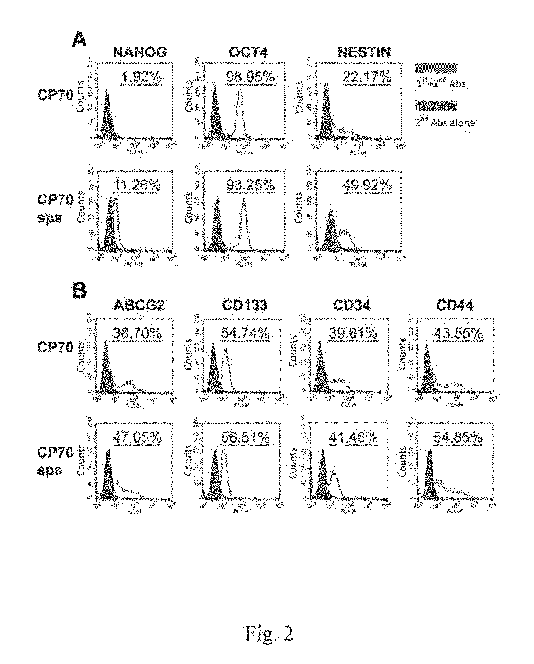Compounds used for treating cancer and the use thereof