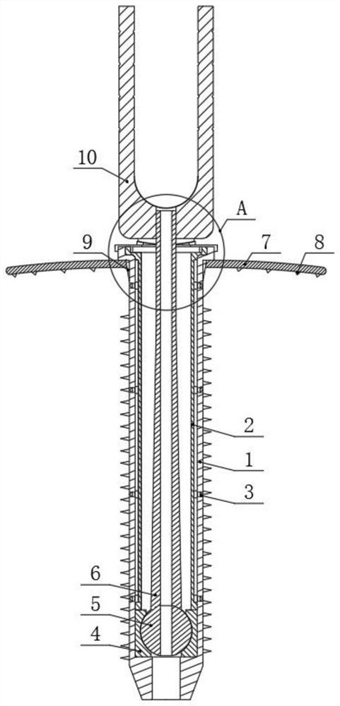 Spinoscope and percutaneous pedicle screw composite system
