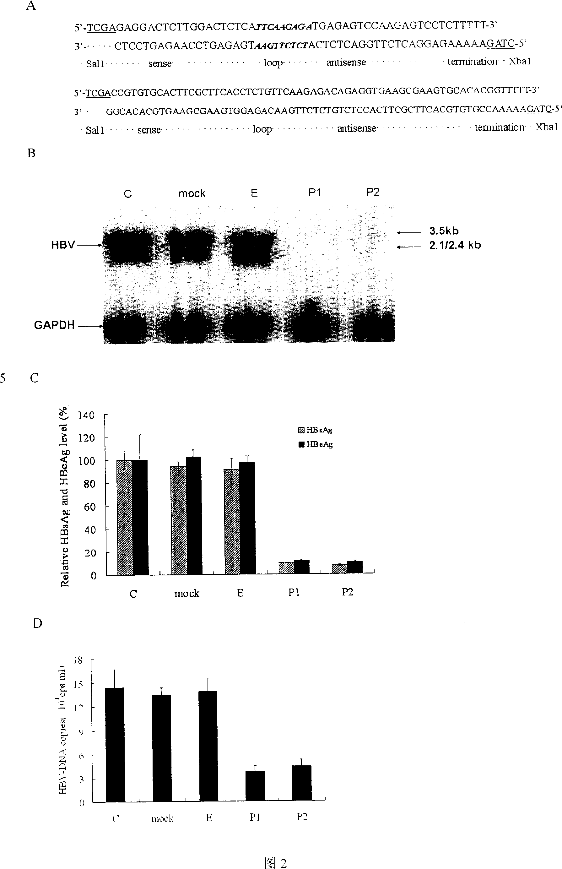 Cocktail vaccine for anti immune tolerance and immunodeficiency virus and its application