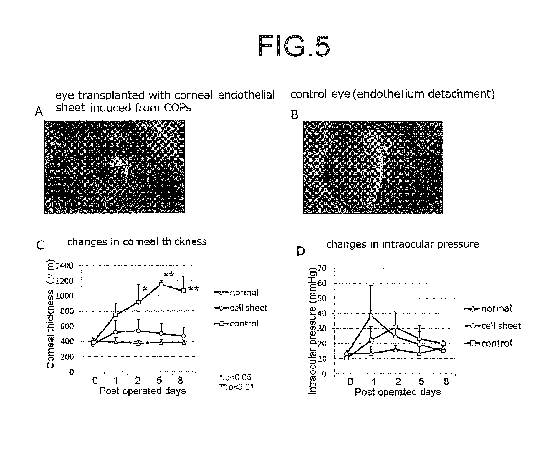 Method for producing corneal endothelial cell