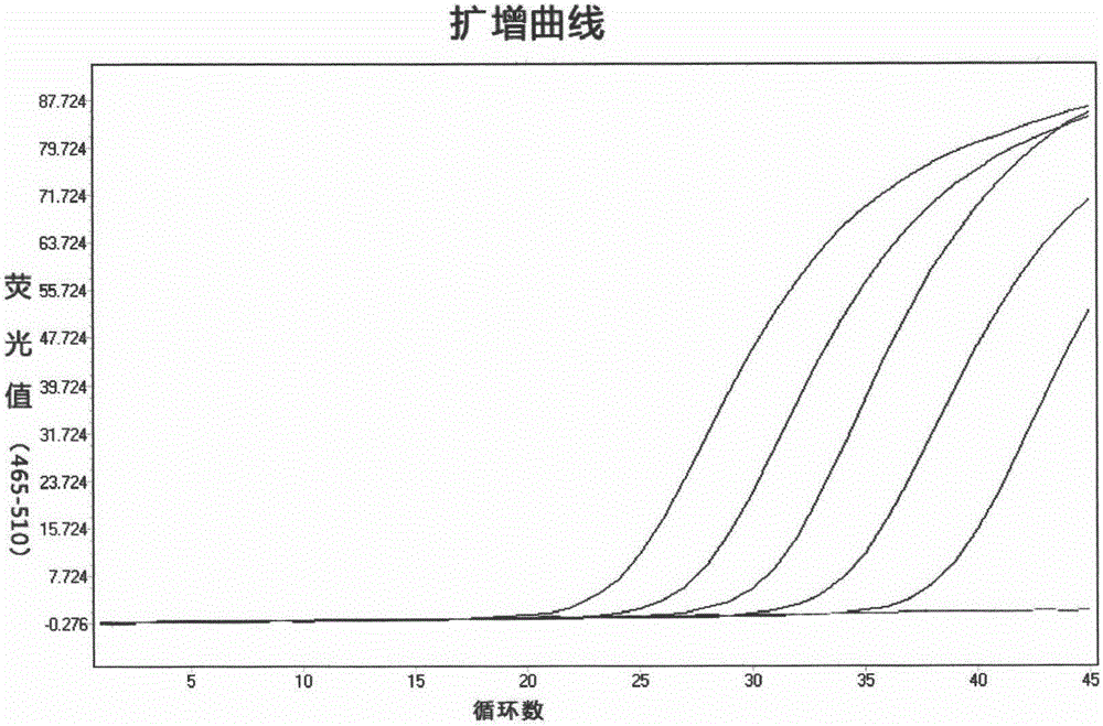 Personalized, economical and practical tumor therapeutic effect evaluation and relapse monitoring method