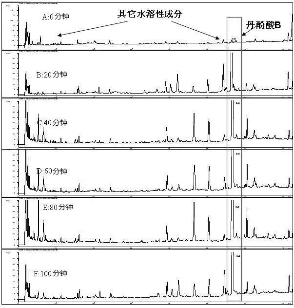 Production method and application of high-quality stable red-rooted salvia medicinal material