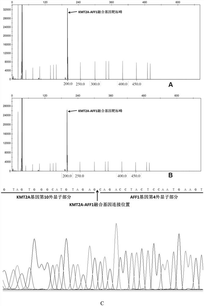 Fusion gene nucleic acid detection method based on combination of capillary electrophoresis fragment analysis and first-generation sequencing