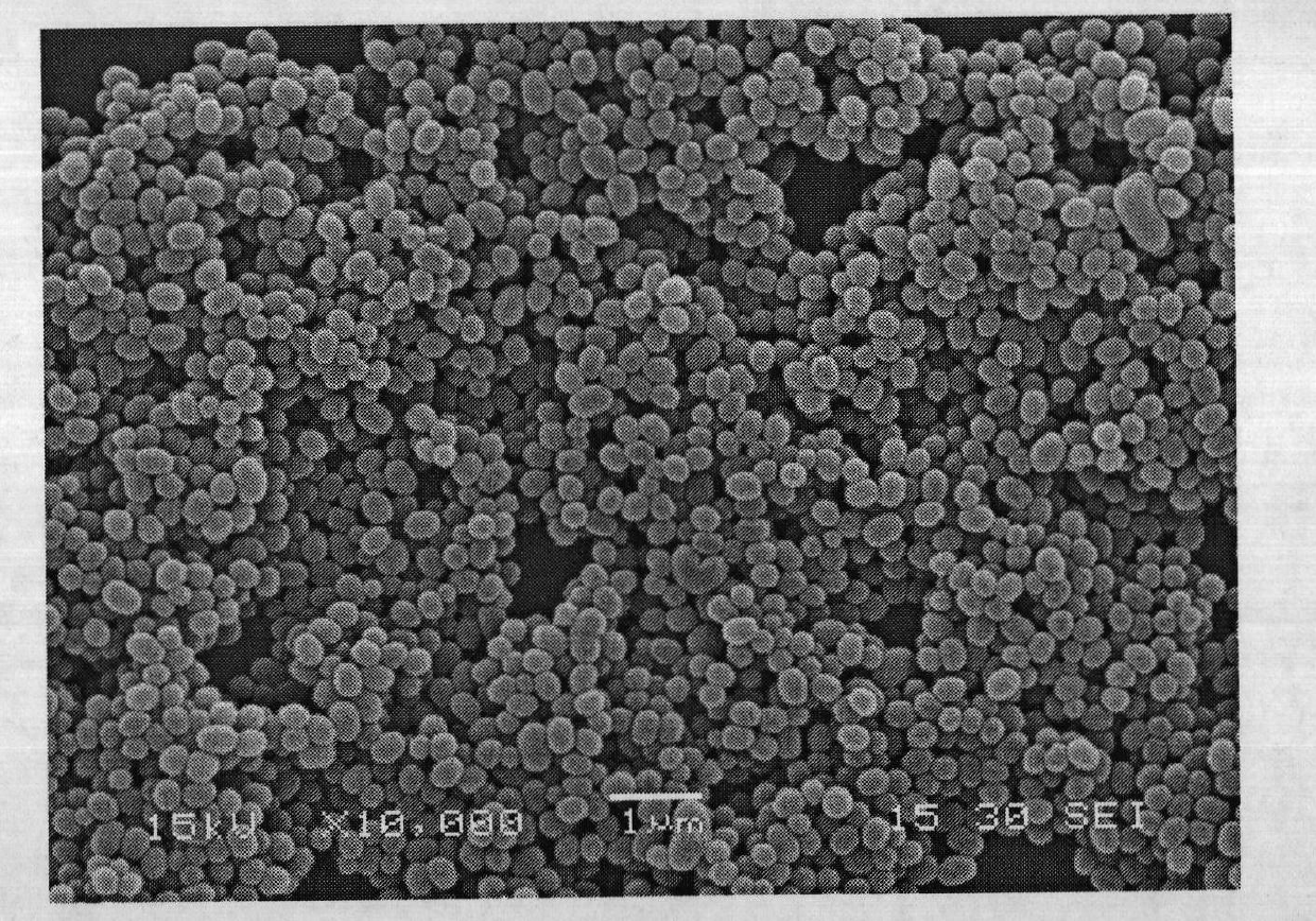 Preparation method of mesoporous silica fluorescent nanoparticles for pH ratio probes