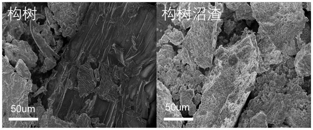 Method for co-production of acid and nitrogen-rich carbon-based oxygen reduction catalyst from lignocellulose biomass