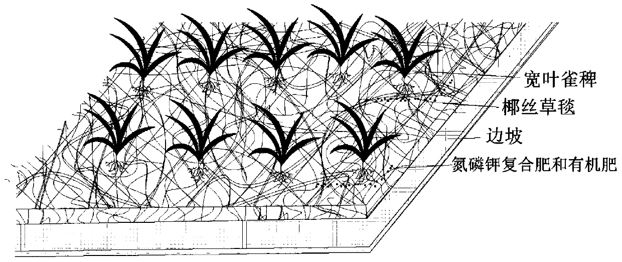 Method for restoration of abandoned rare earth mine based on paspalum thunbergii cultivation