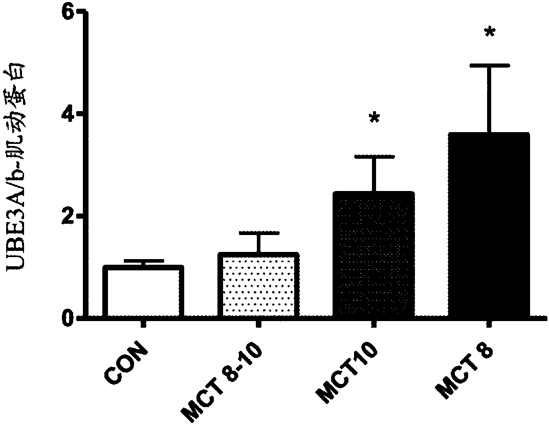 Method for improving cognition