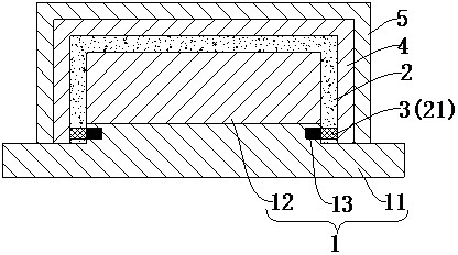Electromagnetic shielding packaging body and preparation method thereof