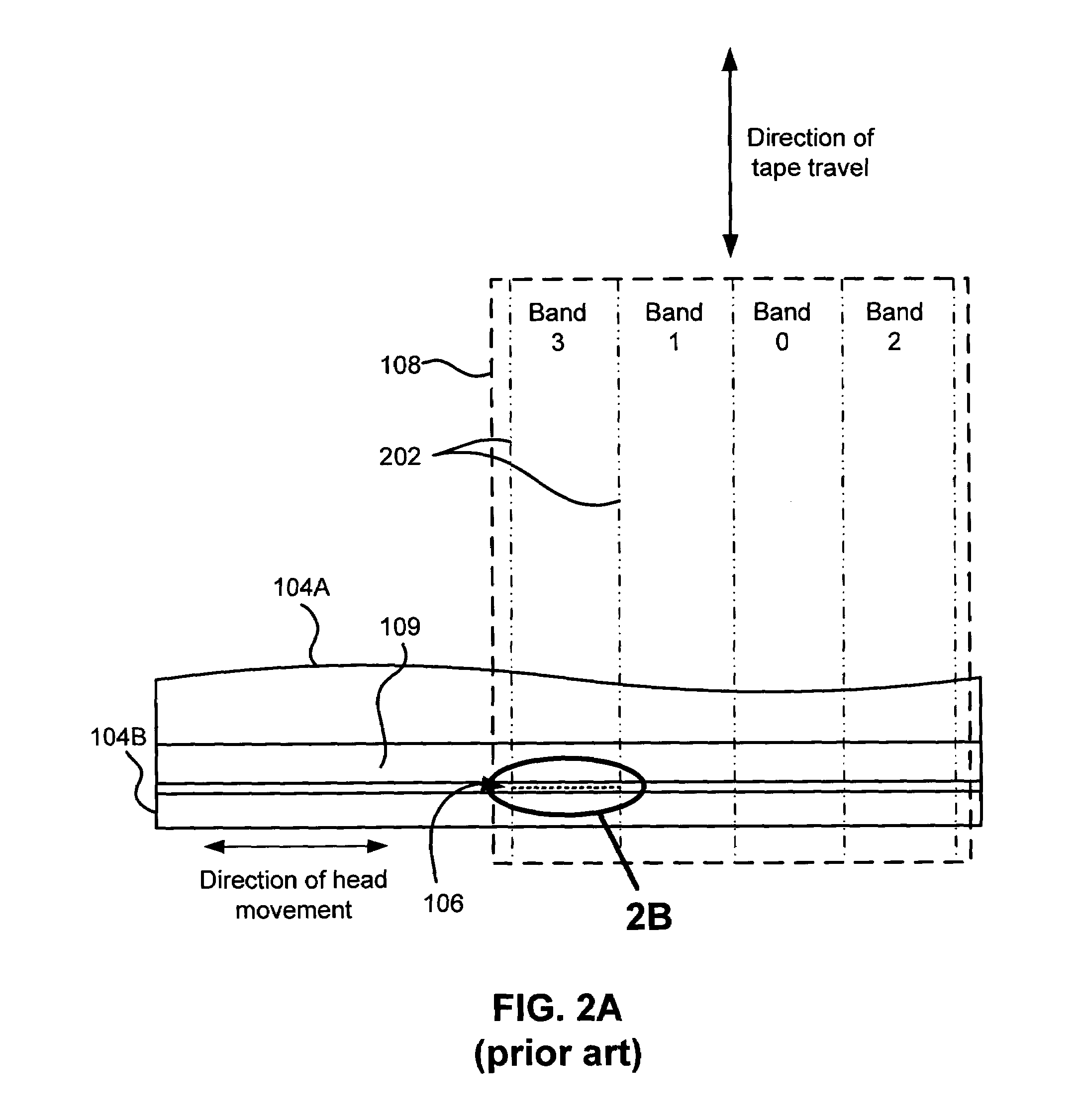 Multi-format magnetic head