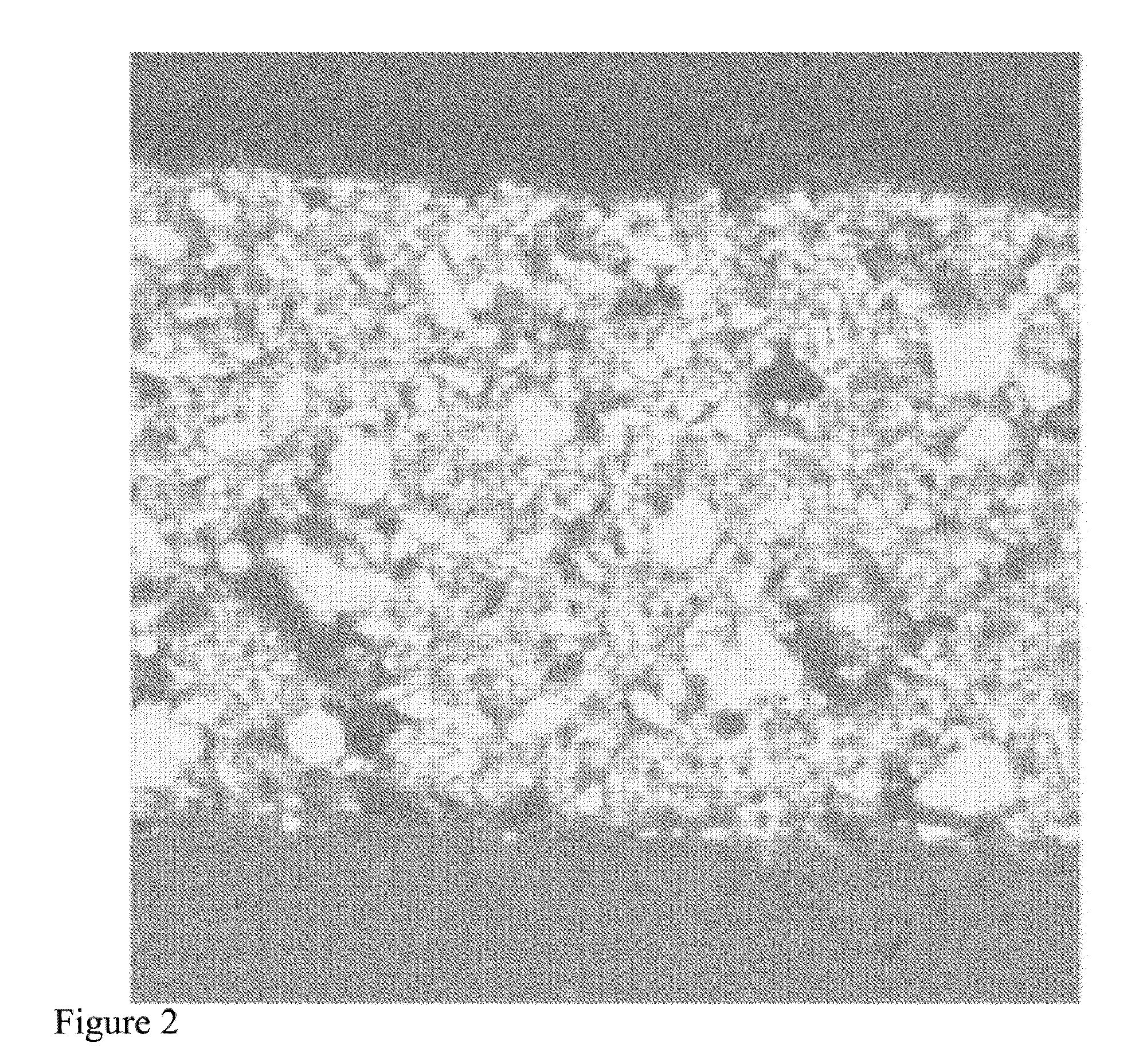 Sensitive materials for gas sensing and method of making same