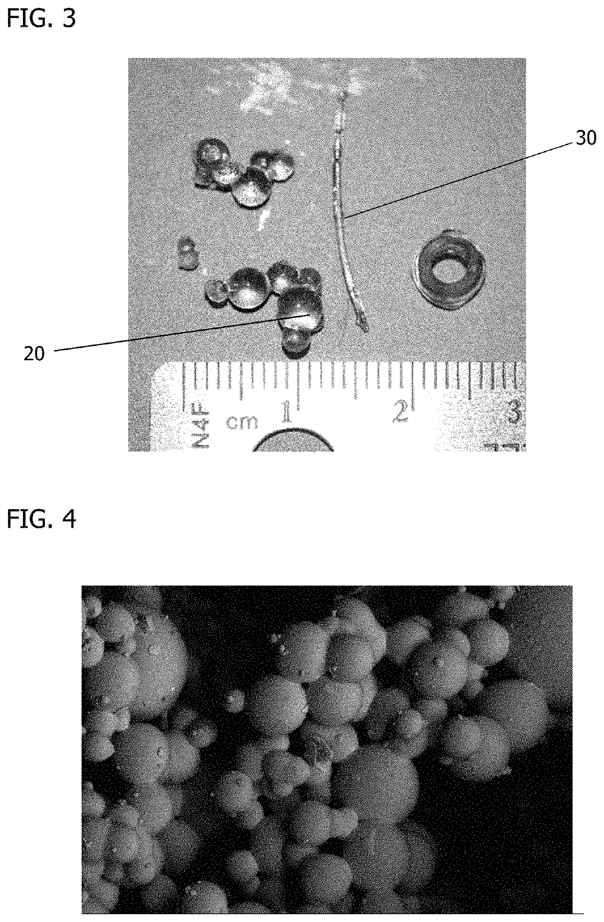 Cured biodegradable microparticles and scaffolds and methods of making and using the same
