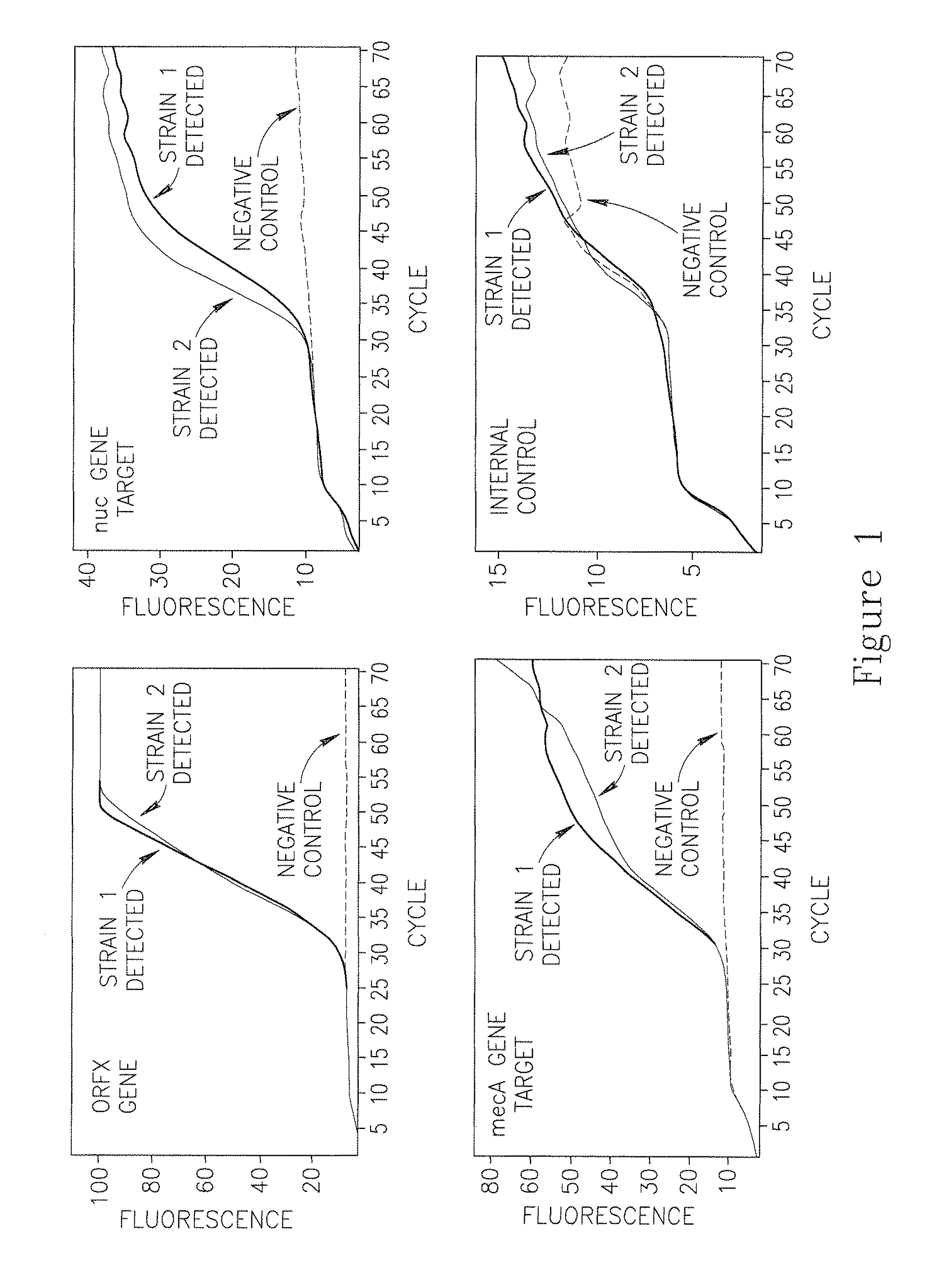 Methods and compositions for multiplex PCR amplifications