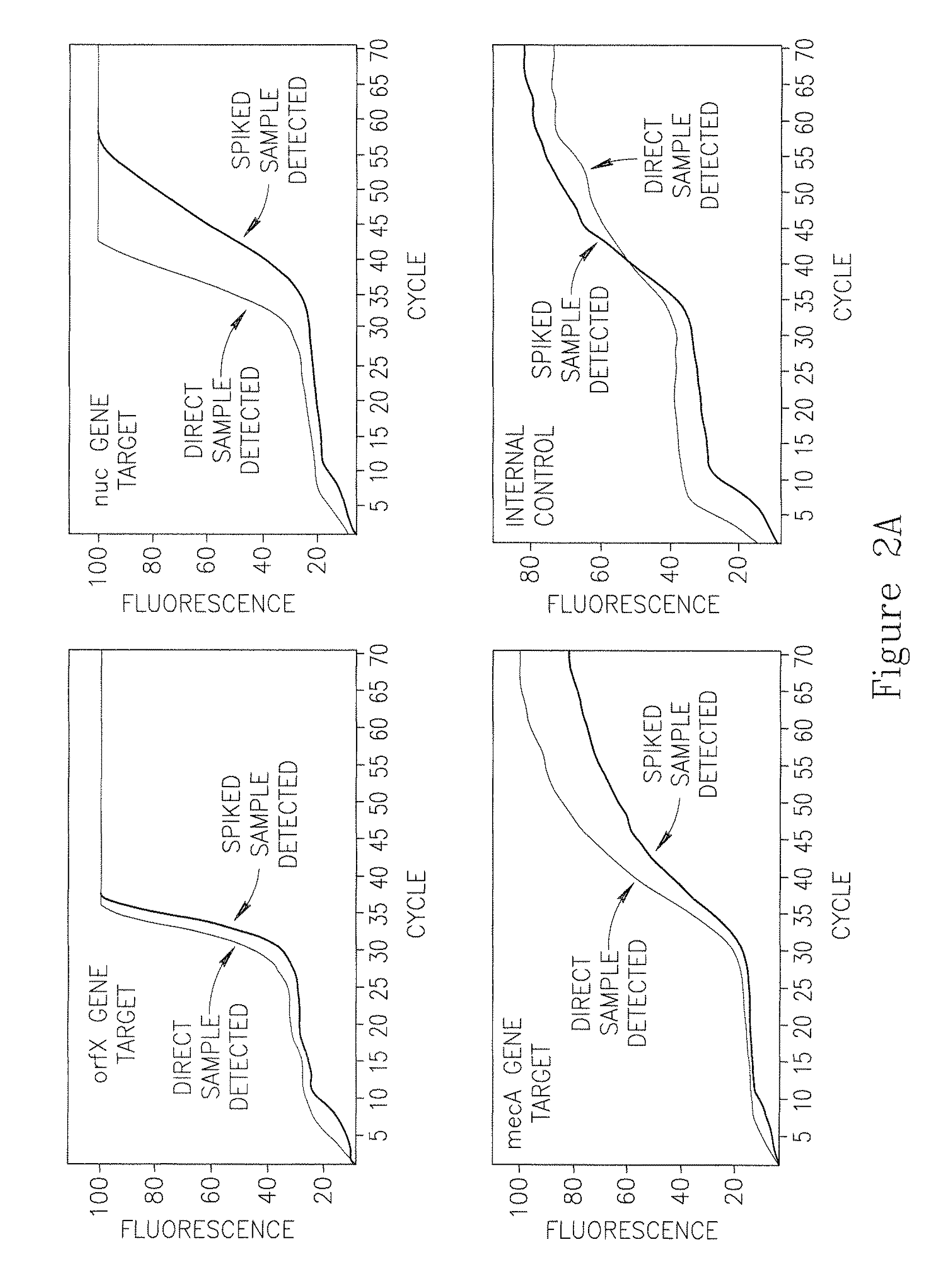 Methods and compositions for multiplex PCR amplifications