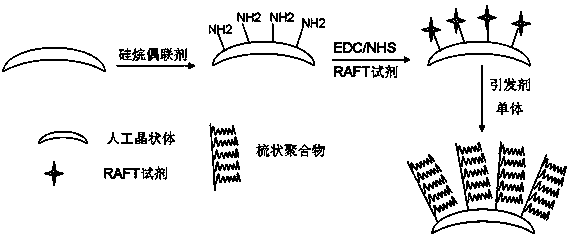 A kind of intraocular lens with surface comb polymer hydrophilic modification and preparation method thereof