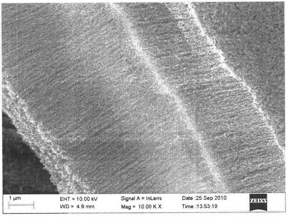 Preparation method for directly growing high density carbon nanotube array on carbon fiber paper base bottom