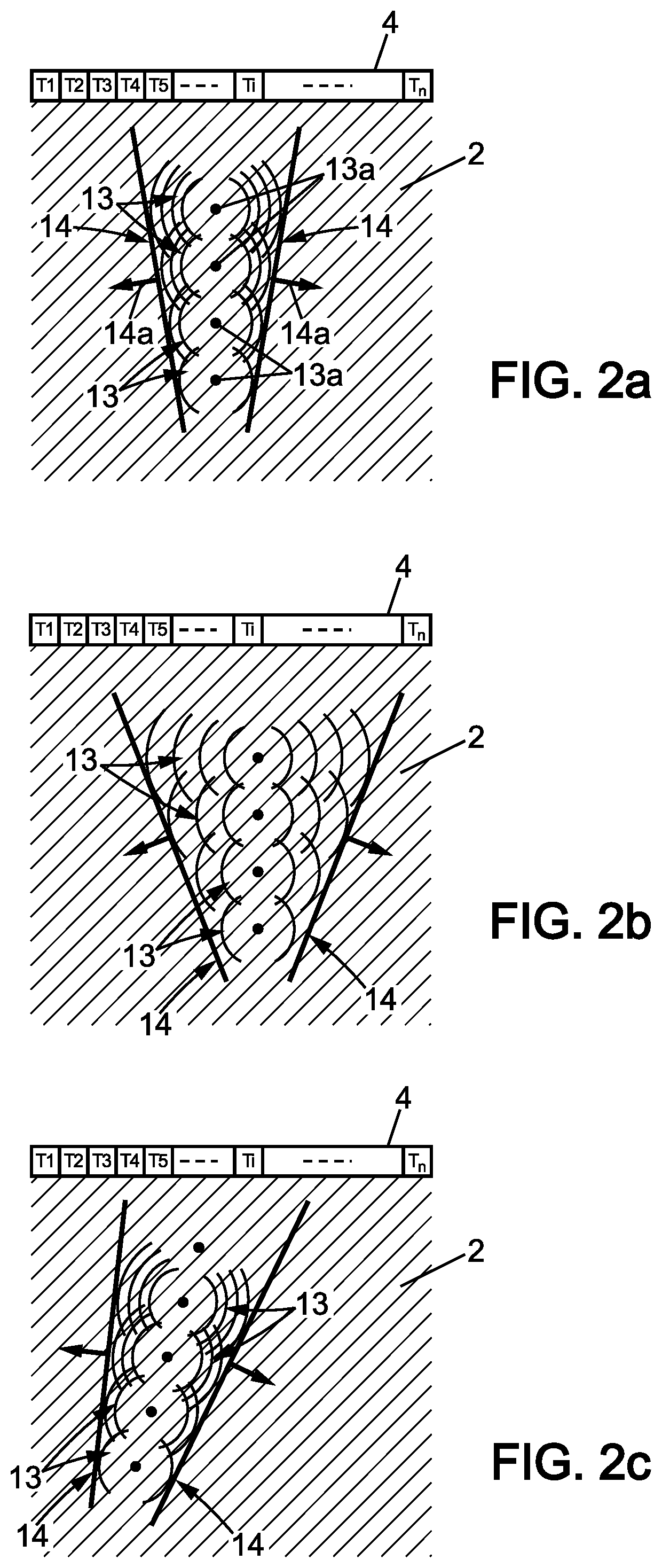 Shear wave elastrography method and apparatus for imaging an anisotropic medium