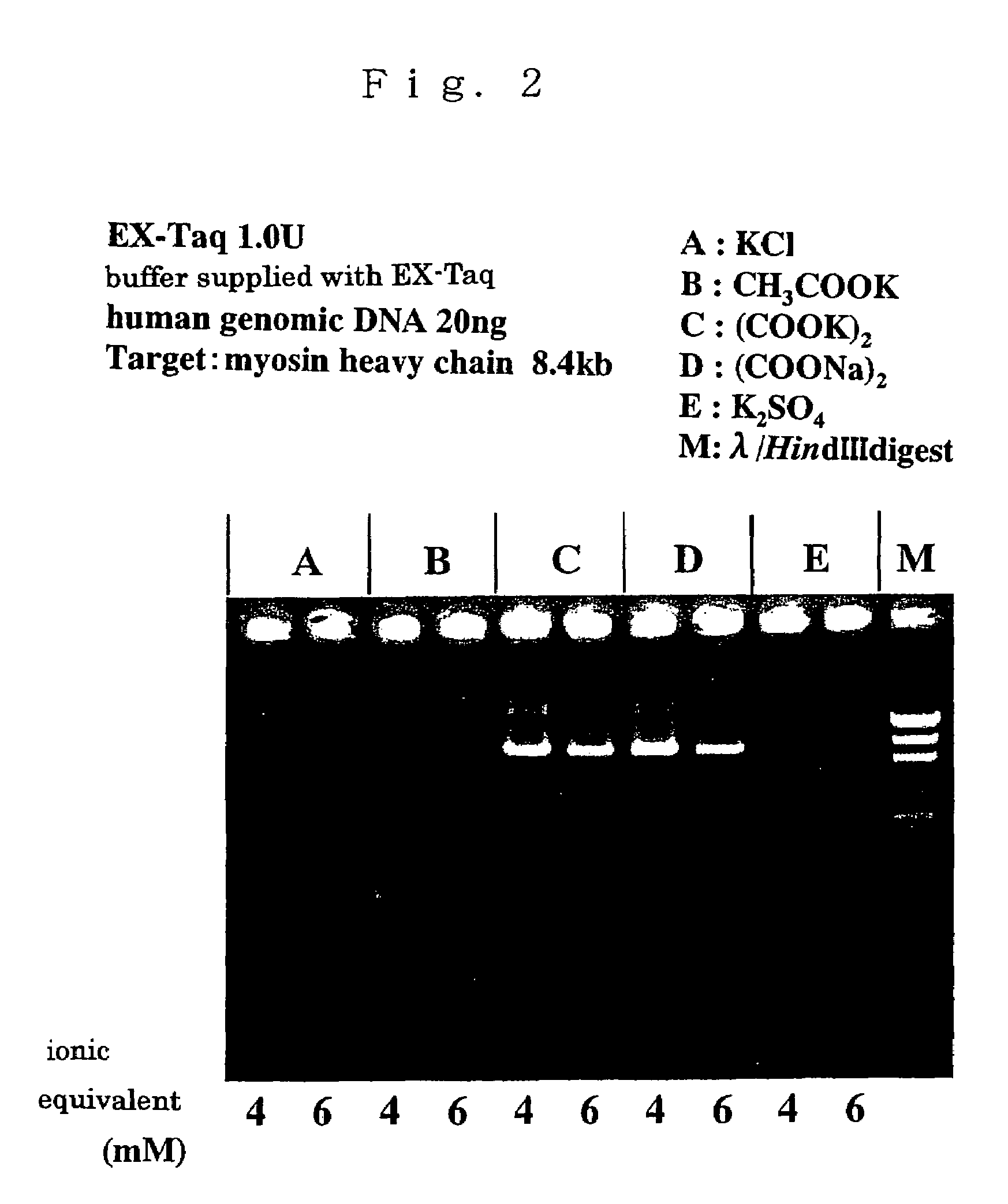 Compositions for enhancing DNA synthesis, DNA polymerase-related factors and utilization thereof