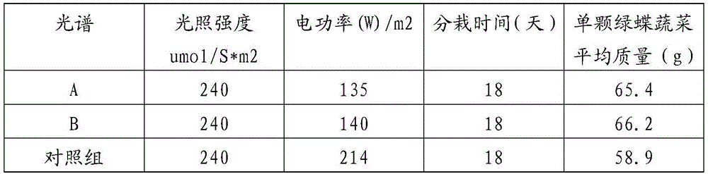 Cultivation light environment and method of leaf vegetables