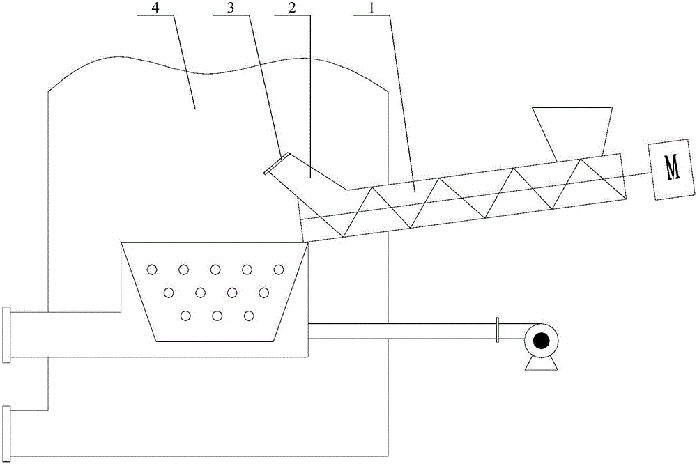 Biomass anti-backfire feeding device