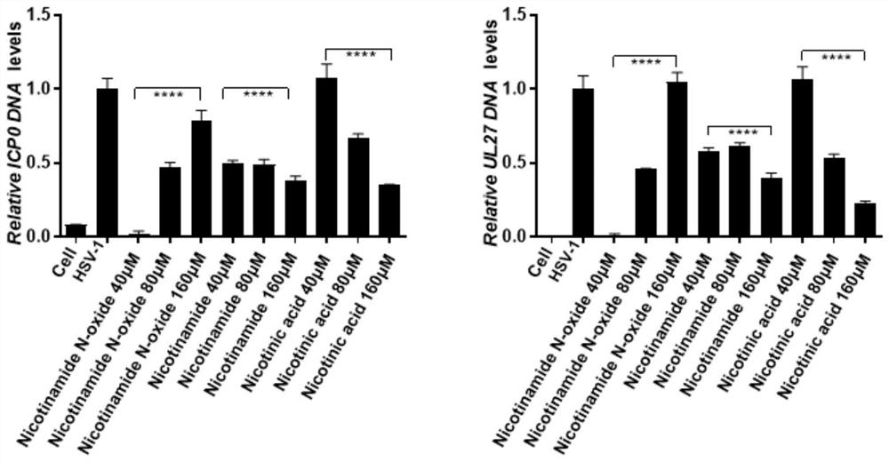 Application of nicotinamide compound in preparation of medicine for treating herpes simplex encephalitis