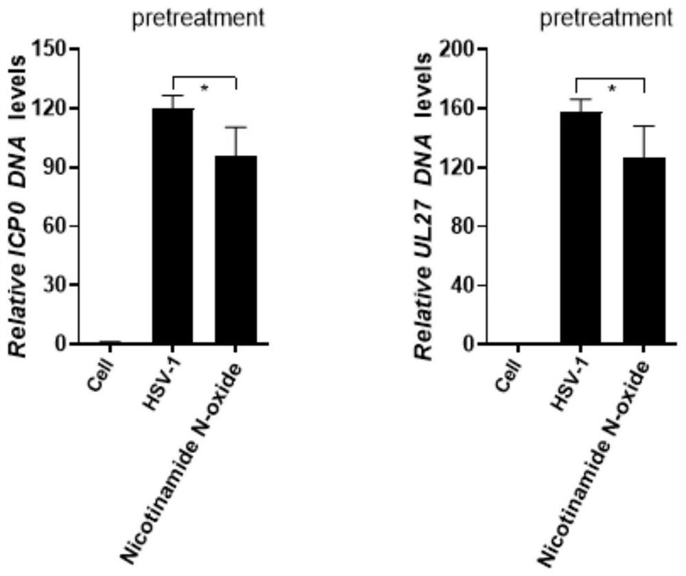 Application of nicotinamide compound in preparation of medicine for treating herpes simplex encephalitis