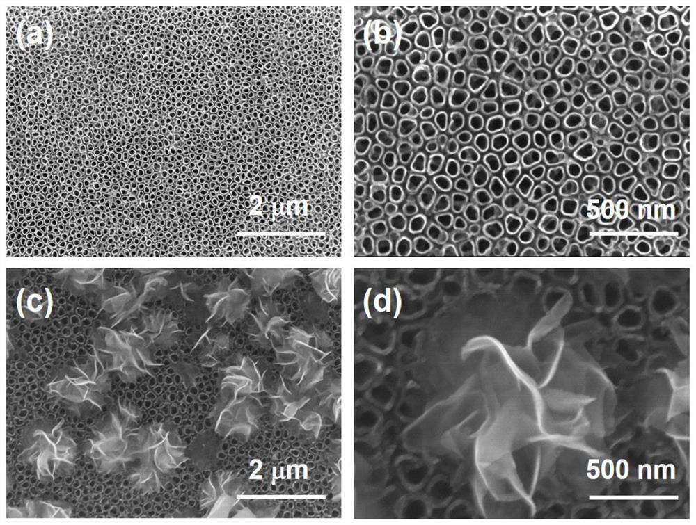 biobr/tio containing oxygen holes  <sub>2</sub> Nanotube array composite electrode, its preparation method and its application in photoelectrocatalytic nitrogen fixation