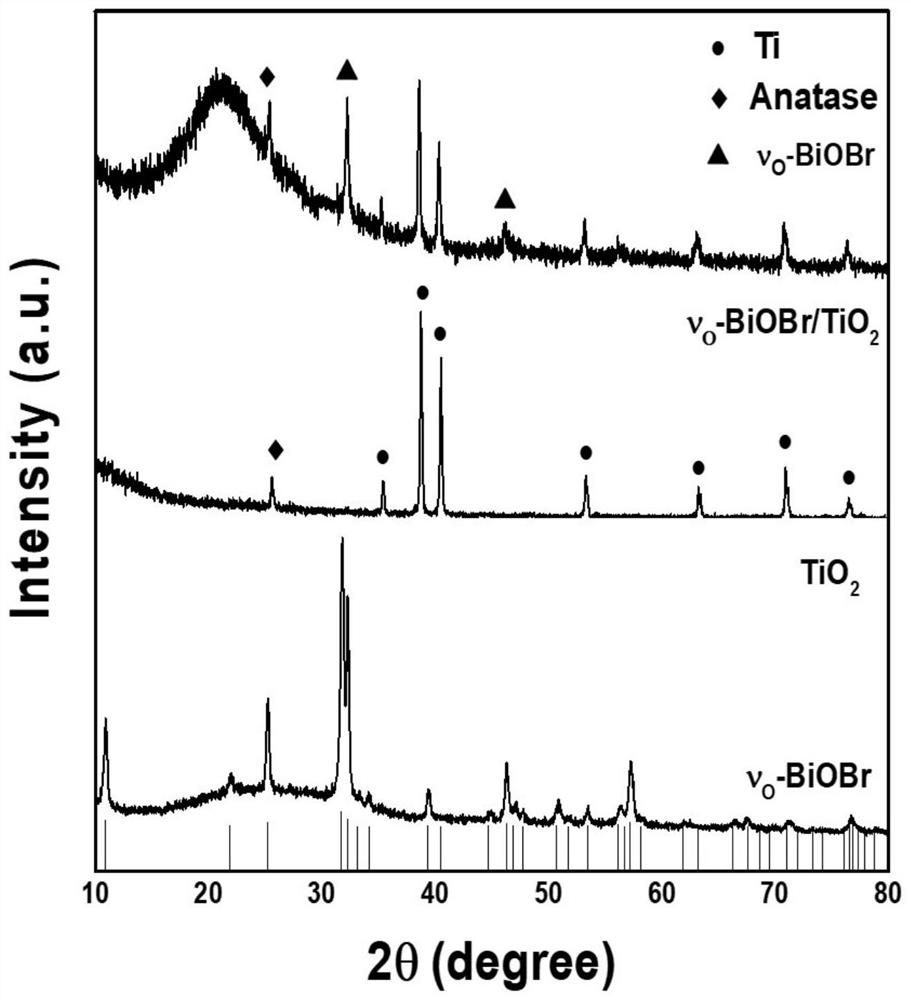 biobr/tio containing oxygen holes  <sub>2</sub> Nanotube array composite electrode, its preparation method and its application in photoelectrocatalytic nitrogen fixation