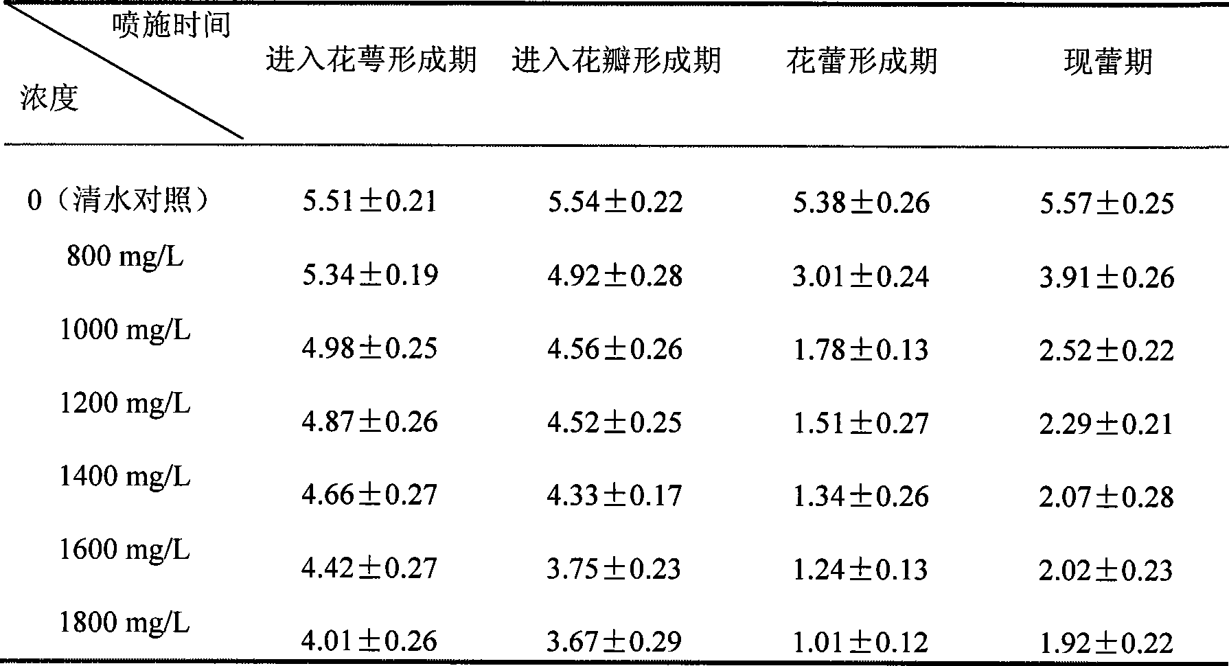 Method for cultivating cut chrysanthemum by using B9