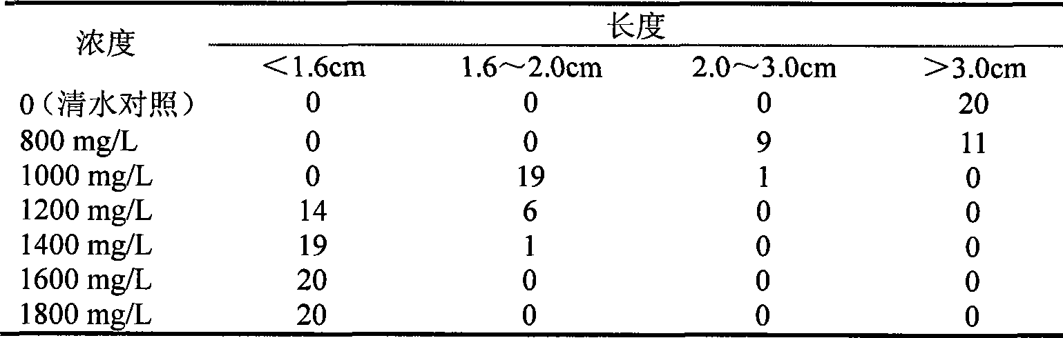 Method for cultivating cut chrysanthemum by using B9