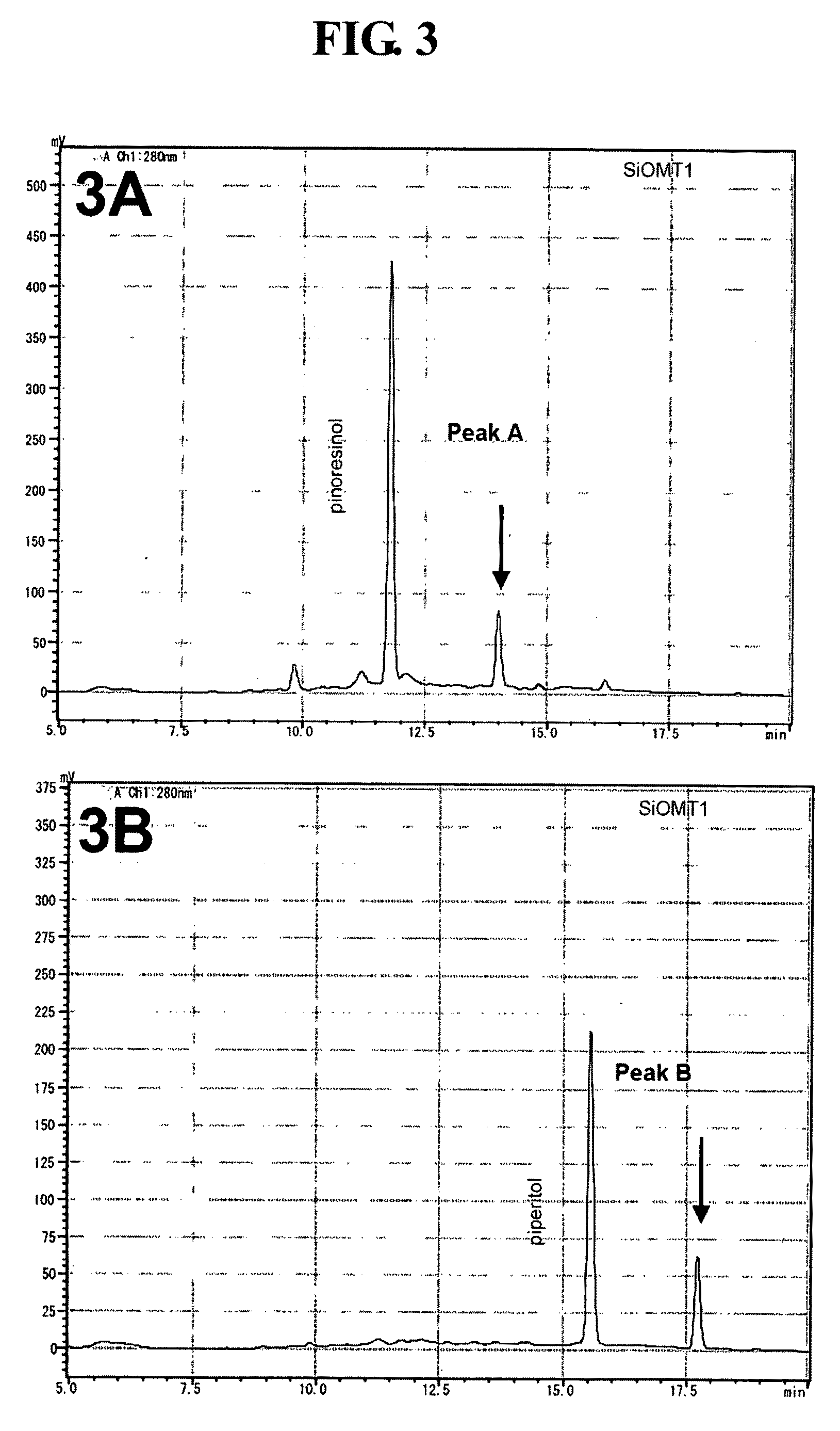 Gene encoding lignan methylation enzyme