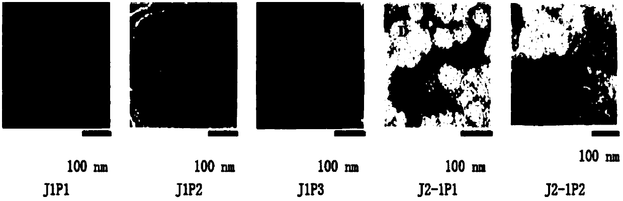 Novel staphylophage and composition, as well as preparation methods and application thereof
