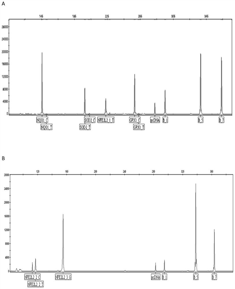 Kit for detecting oxidation resistance genotype of human skin and method thereof