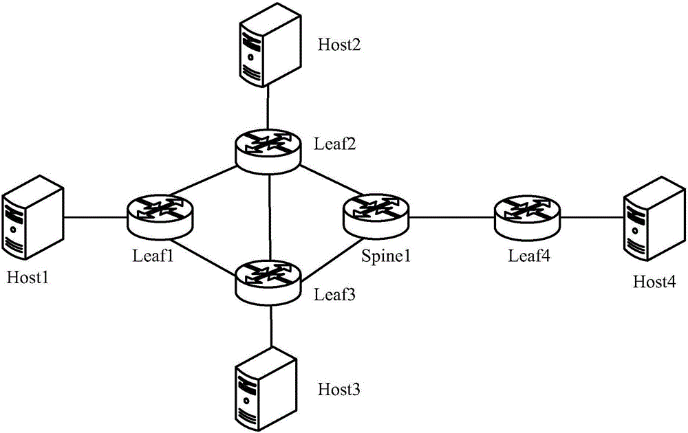 Remote multi-homing networking method and apparatus