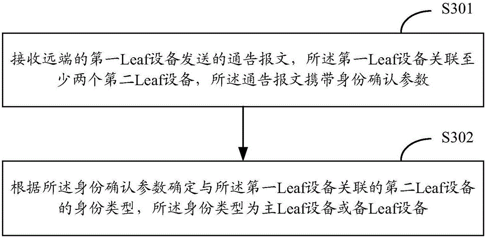 Remote multi-homing networking method and apparatus