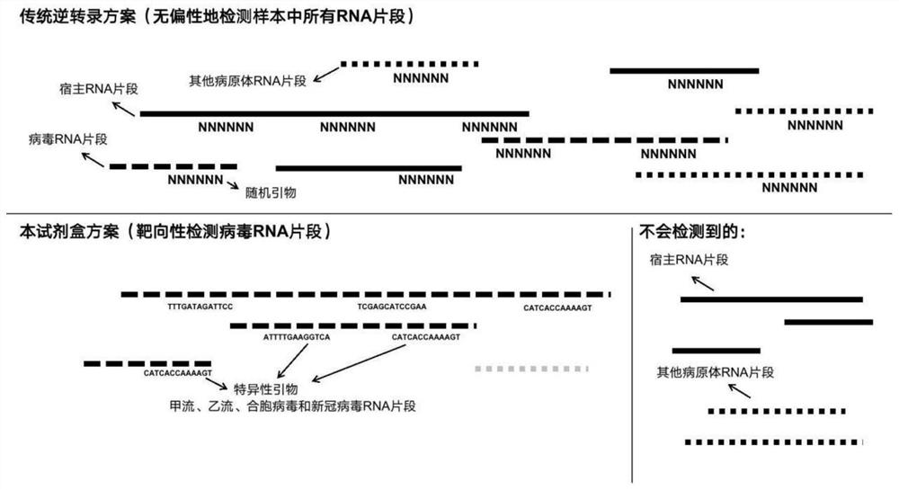 A kind of ngs primer set and kit for detecting respiratory virus pathogens