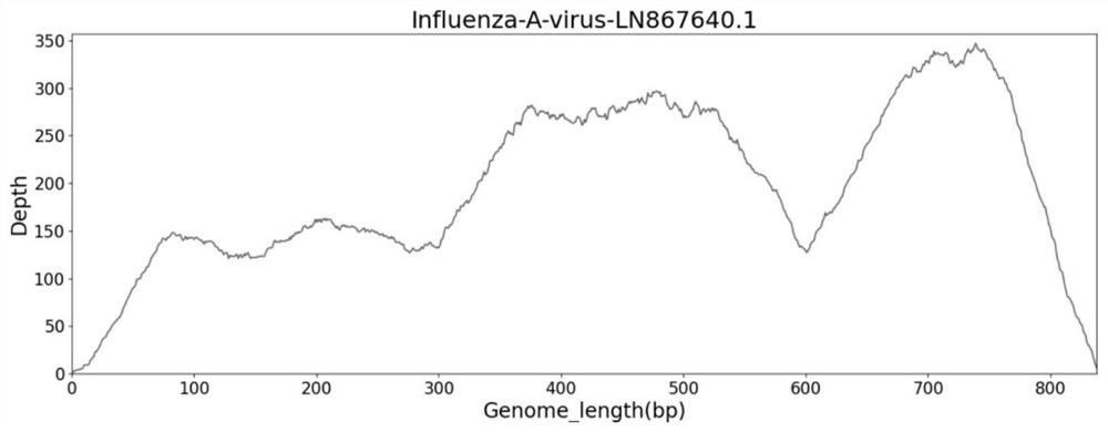 A kind of ngs primer set and kit for detecting respiratory virus pathogens