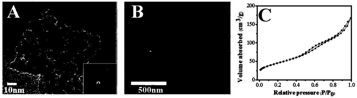 Preparation of zearalenone non-toxic electrochemical luminescence sensor based on peptide sensor