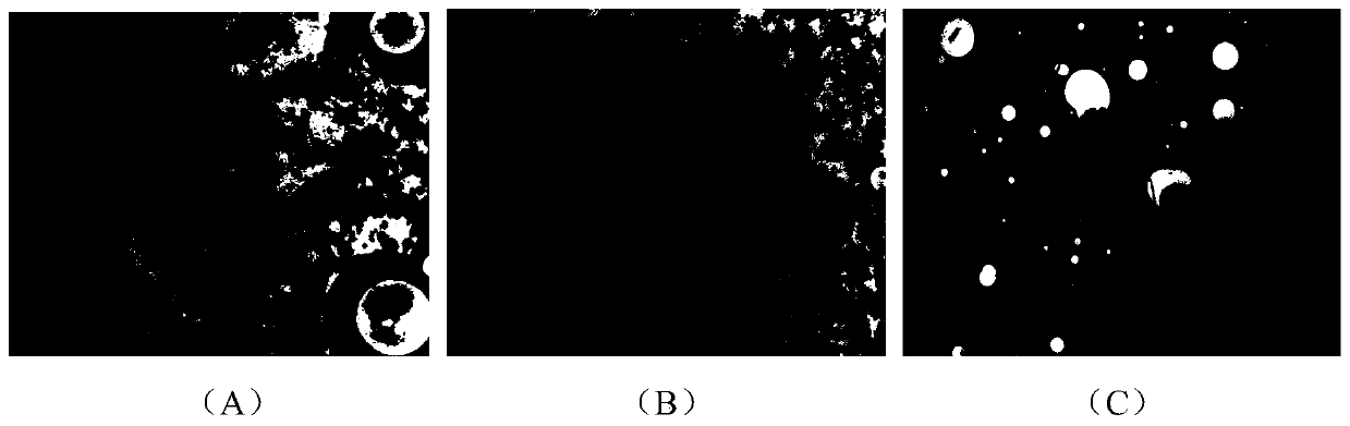 Viscosity reduction-oil displacement polymer for conventional thickened oil reservoir and preparation method thereof