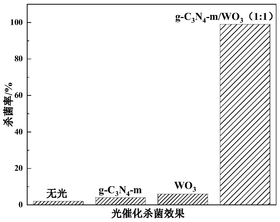 Modified carbon nitride and tungsten oxide coupled p-n type heterojunction composite material and preparation method and application thereof